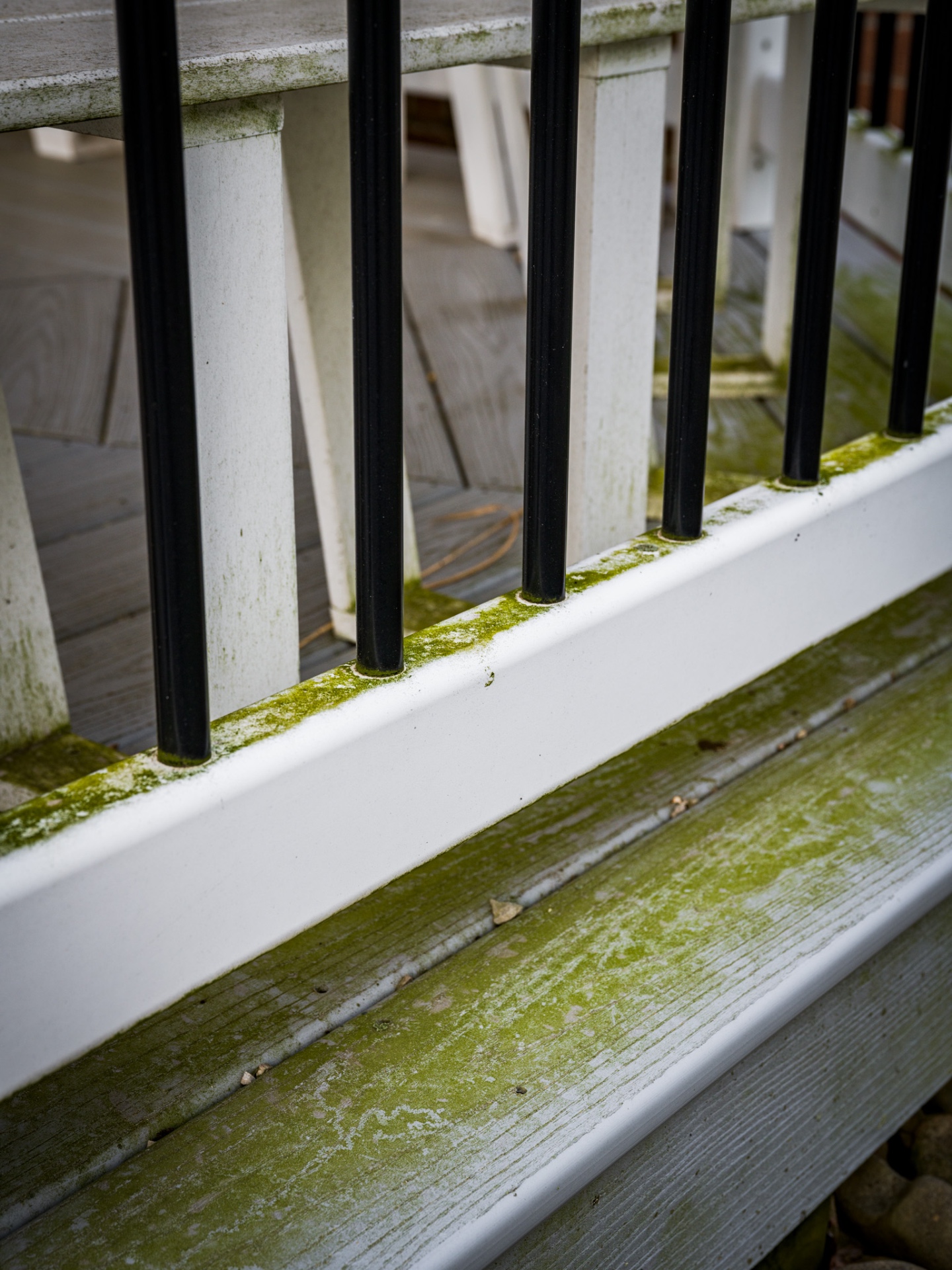 White deck railing covered in green algae and moss before soft washing